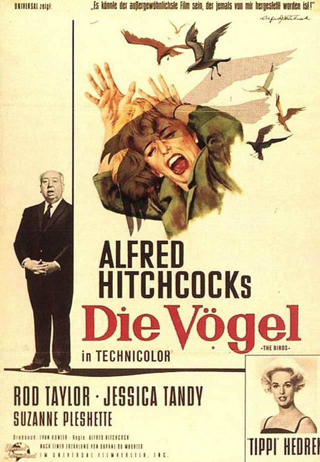 DIE VÖGEL